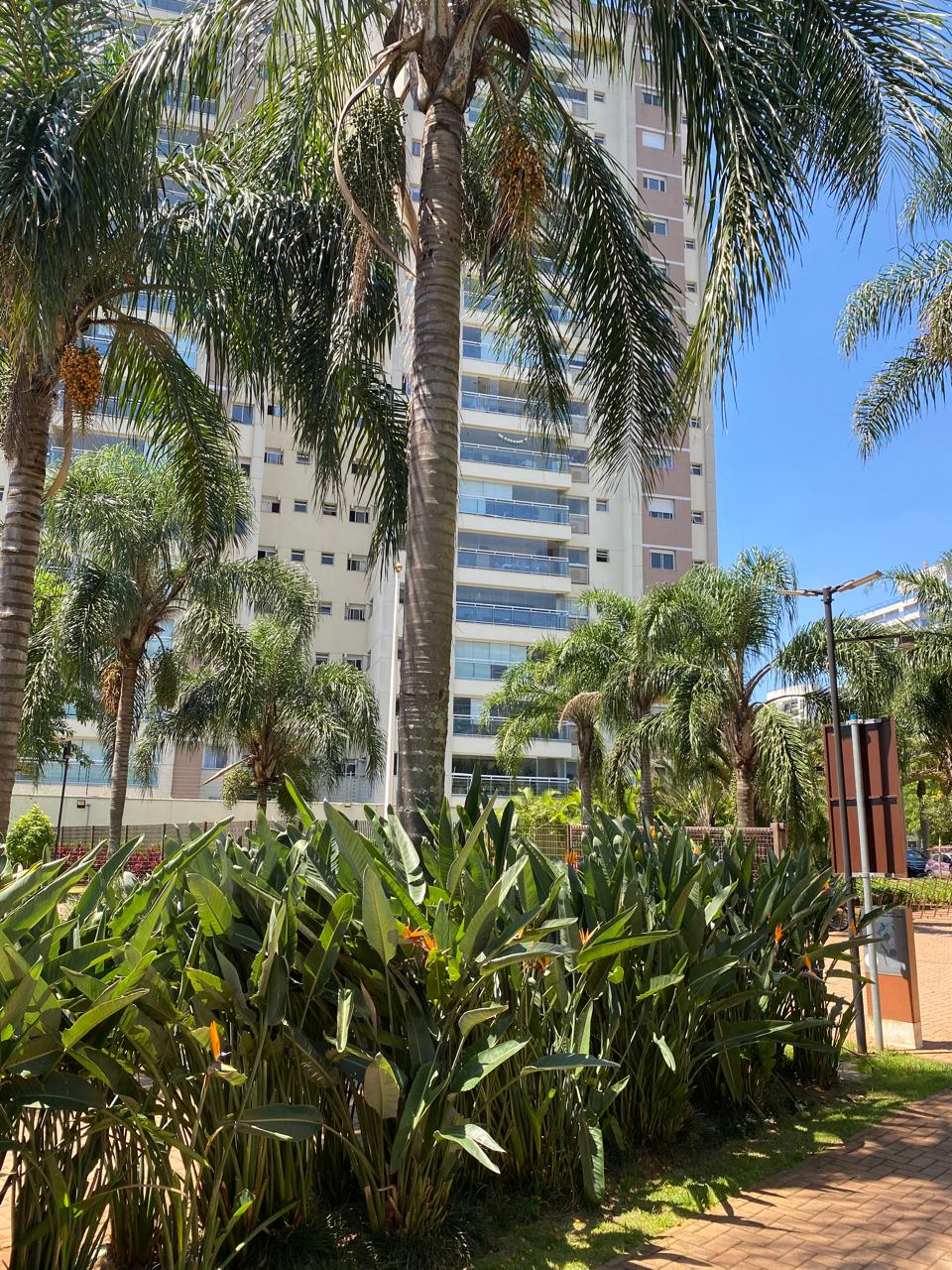 Jardim