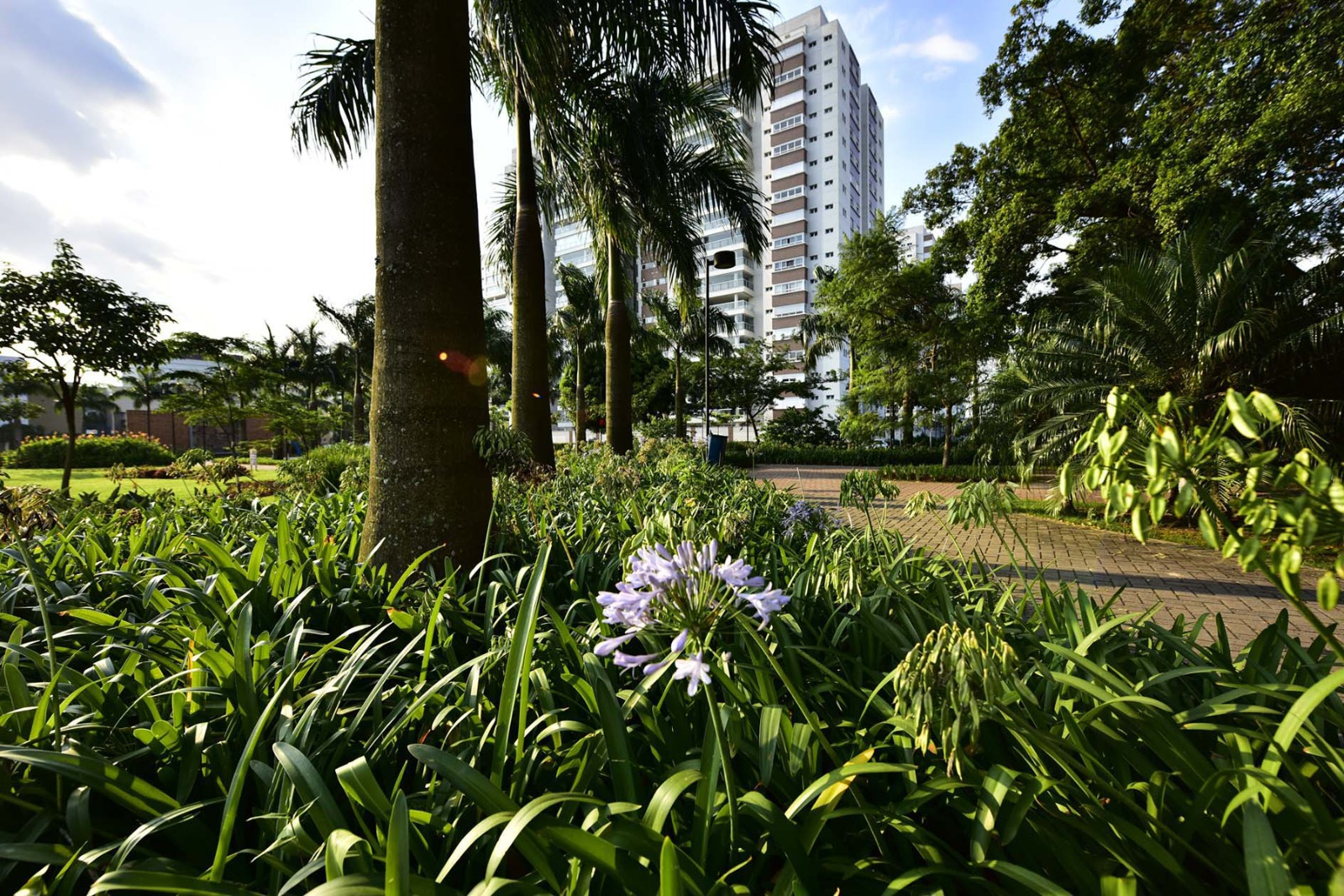 Jardim