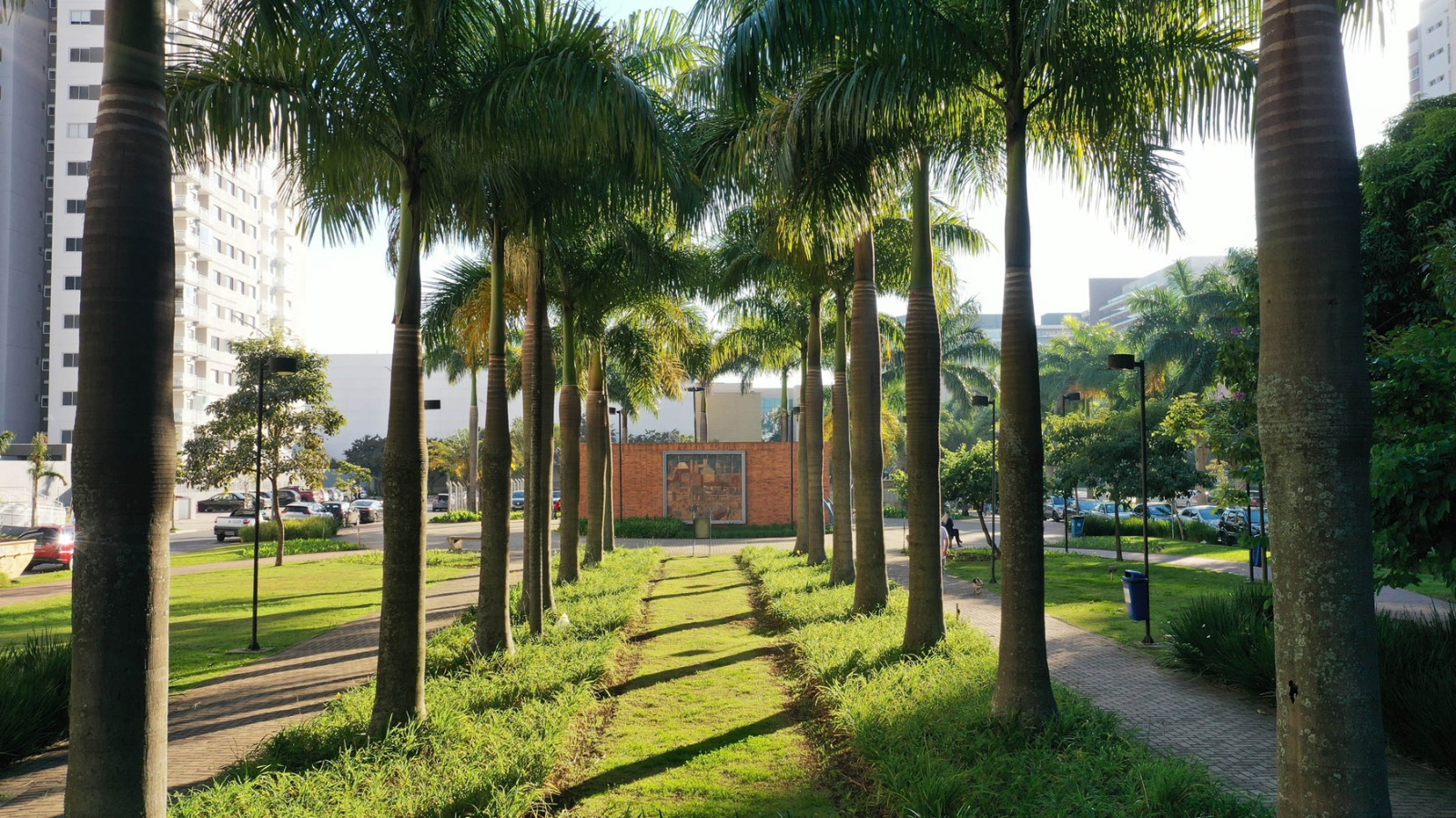 Jardim